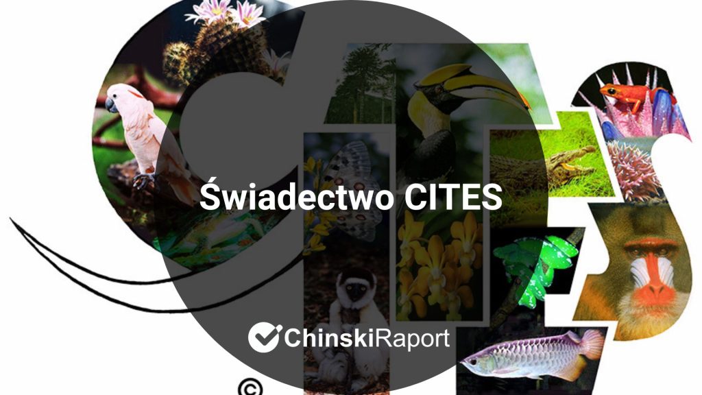 Świadectwo CITES